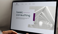 Basic Consulting